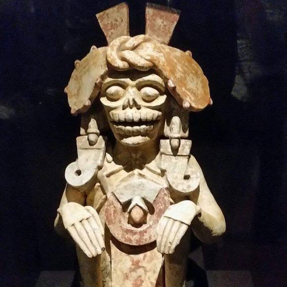 Meet your Posher, Omar - Picture 1 of 1